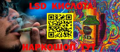 PSILOCYBIN Гагарин