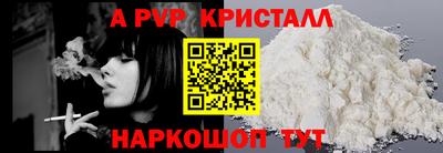 индика Гай