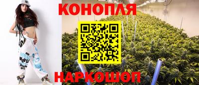 индика Гай