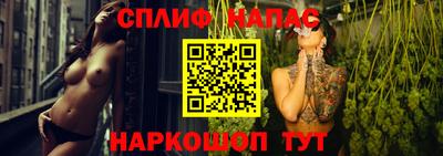 индика Гай
